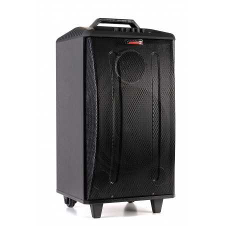 AUDIODESIGN PRO M3 12W/L Diffusore Portatile a Trolley a batteria completo di 2 microfoni wireless - Potenza Max 350 W