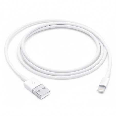 Apple Cavo Lightning to Usb 1mt MXLY2ZM/A Bulk